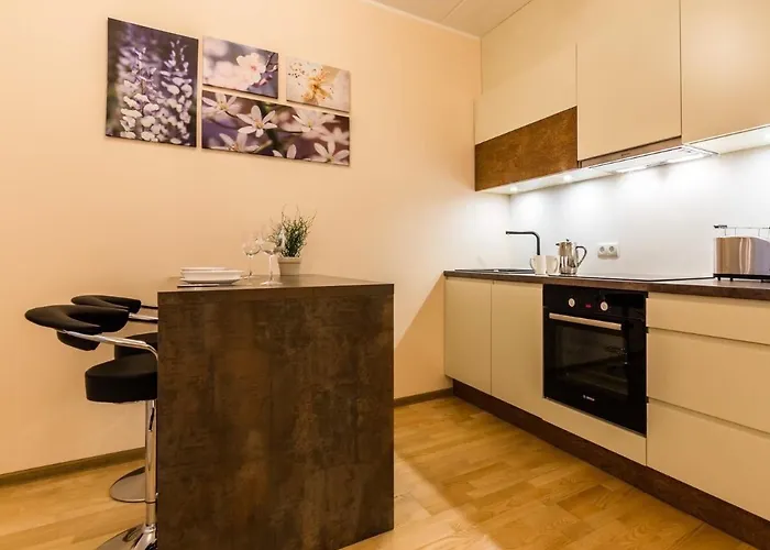 Rotermanni Apartment, Large Terrace Apartament