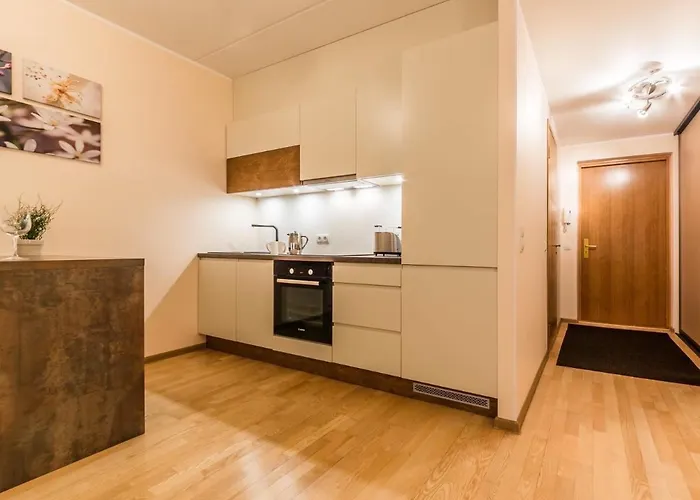 Rotermanni Apartment, Large Terrace Apartament Tallin